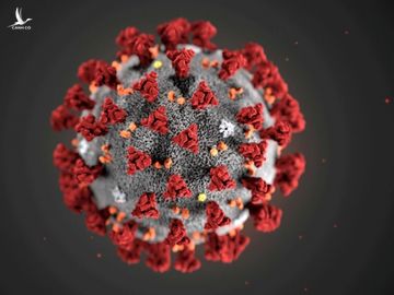 Hình vẽ mô phỏng virus Corona chủng mới /// Reuters