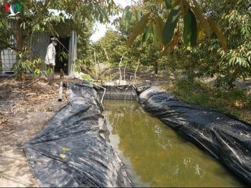 Vì sao nhiều nhà vườn vùng hạn mặn từ chối nước ngọt miễn phí của Nhà nước? - 2