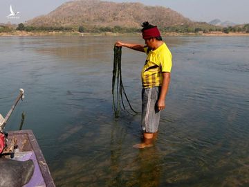 Đập thủy điện Trung Quốc giữ nước sông Mê Kông suốt mùa mưa, gây hạn cho hạ nguồn - ảnh 1