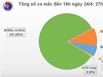 viet nam ghi nhan them 2 ca mac covid-19 moi deu tu nuoc ngoai ve hinh 3