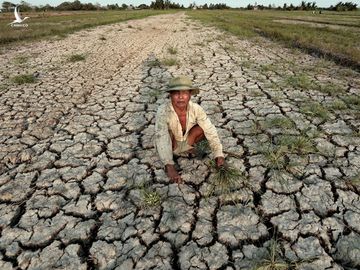 Hạn hán, thiếu nước tại xã An Phú Trung, H.Ba Tri, Bến Tre (tháng 3.2020) /// Ngọc Dương