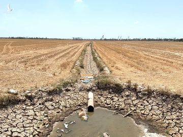 Tường trình vùng hạn mặn: Người khổ sở vì khô khát, người thản nhiên có sao đâu - Ảnh 3.