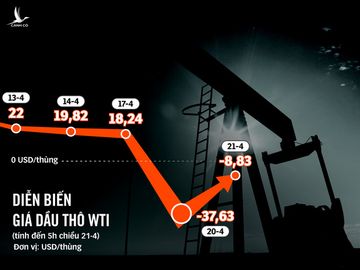 Giá dầu thế giới âm, giá xăng trong nước sẽ tiếp tục giảm xuống 10.000 đồng/lít? - Ảnh 1.