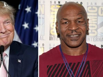 Mike Tyson và Tổng thống Mỹ Donald Trump đã có thời gian hợp tác với nhau /// Chụp màn hình