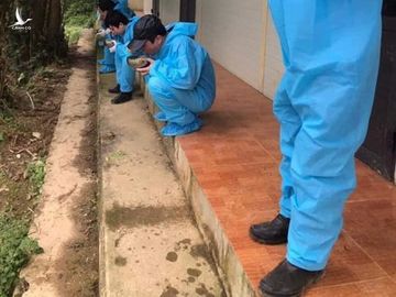 Tôi đã khóc khi xem những tấm hình này, bạn thì sao?