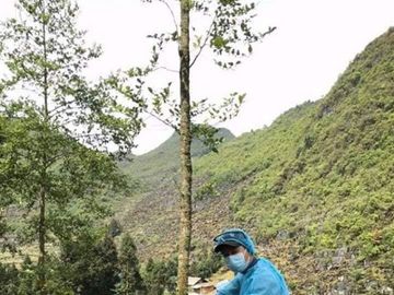 Tôi đã khóc khi xem những tấm hình này, bạn thì sao?