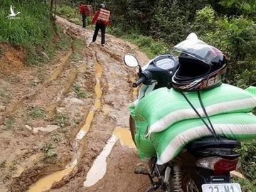 Tôi đã khóc khi xem những tấm hình này, bạn thì sao?