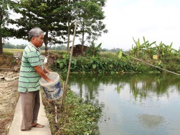 Cựu lính đặc công vươn lên làm giàu trên mảnh đất quê hương - 4