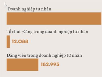 Lam the nao de phat trien Dang trong khoi doanh nghiep tu nhan hinh anh 4 