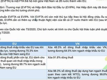 Quyết định vào cuộc chơi lớn, Việt Nam cơ hội thu thêm chục tỷ USD