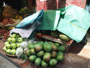 Nắng đổ lửa, chợ vắng tanh, hoa quả đắp chăn giữa trời 40 độ