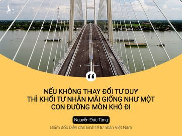 Doanh nghiep tu nhan va ‘luc keo’ cho nen kinh te 10 nam toi hinh anh 14 