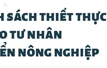 'Nuoc ngoai lam duoc thi doanh nhan Viet cung lam duoc' hinh anh 7 