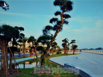 Thủ tướng dự Lễ khánh thành tuyến đường bao biển đẹp nhất Quảng Ninh - ảnh 7