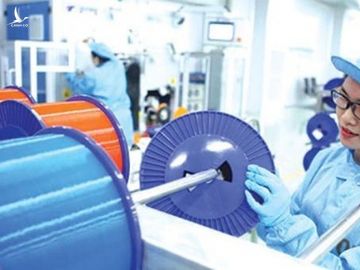 Kinh tế Việt Nam bắt đầu khởi sắc trở lại