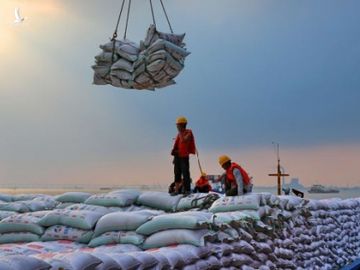 Trung Quoc bat ngo ngung mua nong san My hinh anh 1 106127332_1568334412252gettyimages_1014721740.jpeg