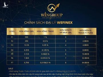 Vạch trần Wefinex - mô hình tài chính đa cấp lừa đảo núp bóng &quot;thiên đường&quot; dành cho hội thiếu hiểu biết nhưng mê làm giàu nhanh - Ảnh 3.