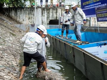 Hà Nội nói chuyên gia Nhật từ bỏ làm sạch sông Tô Lịch, JVE bảo phát ngôn sai sự thật - Ảnh 2.