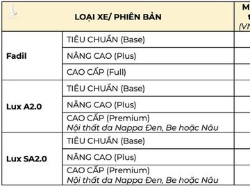 VinFast tăng giá mạnh loạt xe ô tô mang thương hiệu Việt - Ảnh 1.