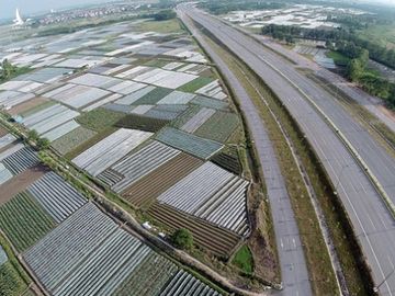 Lo đón đại bàng, đừng quên chim sẻ - Ảnh 2.