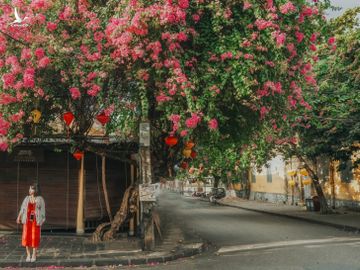 check in hoi an anh 6