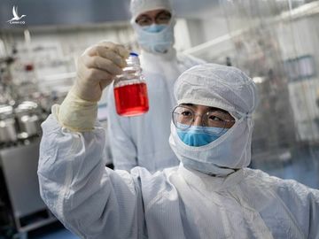 Chuyên viên điều chế vaccine trong một phòng thí nghiệm của Sinovac Biotech ngày 29/04/2020. AFP