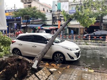 Cần Thơ: Giông lốc làm cây xanh ngã đổ, đè lên xe - ảnh 5