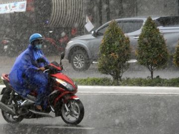 Cần Thơ: Giông lốc làm cây xanh ngã đổ, đè lên xe - ảnh 1