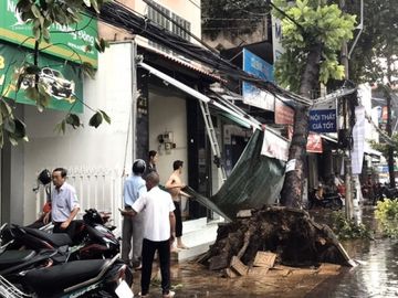 Cần Thơ: Giông lốc làm cây xanh ngã đổ, đè lên xe - ảnh 2