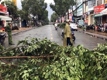 Cần Thơ: Giông lốc làm cây xanh ngã đổ, đè lên xe - ảnh 3