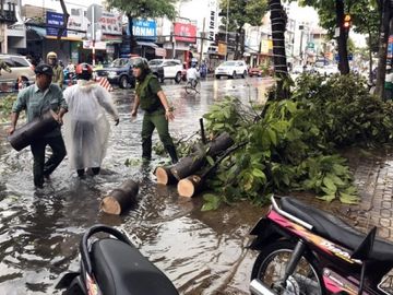 Cần Thơ: Giông lốc làm cây xanh ngã đổ, đè lên xe - ảnh 7