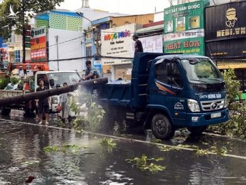 Cần Thơ: Giông lốc làm cây xanh ngã đổ, đè lên xe - ảnh 6