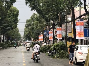 Cần Thơ: Giông lốc làm cây xanh ngã đổ, đè lên xe - ảnh 4