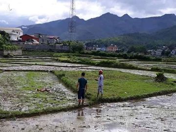 Nóng: Nghi thảm án ở Điện Biên, 3 người tử vong