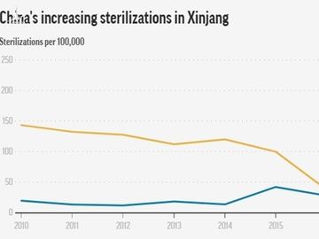 Tỷ lệ triệt sản ở Tân Cương (đường màu xanh) tăng đột ngột từ năm 2016 đến 2018. Đồ họa: AP.