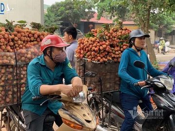 Mỗi năm 1 mùa trắng đêm, đại gia chân đất chia nhau đếm 4.000 tỷ