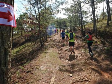 giải Dalat Ultra Trail