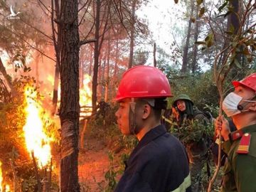 Người phụ nữ đốt rác rồi bỏ vào nhà, không ngờ lửa lan cháy cả cánh rừng - Ảnh 2.