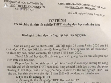 Phụ huynh tố trường ép học sinh đi học phụ đạo, nếu không sẽ không cho tốt nghiệp - Ảnh 3.