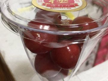 Cherry Nhật kỷ lục 64 triệu 15 quả, về Việt Nam giá 6,6 triệu/kg