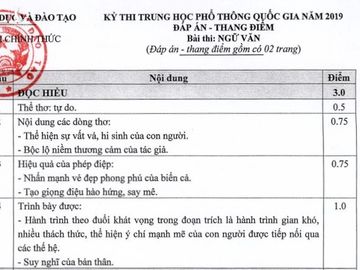 Đề thi và đáp án THPT Quốc gia môn Ngữ Văn từ 2016 đến 2019 - Ảnh 10.