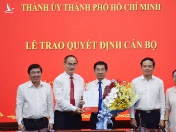 Ông Dương Ngọc Hải làm chủ nhiệm Ủy ban Kiểm tra Thành ủy TP.HCM - Ảnh 1.