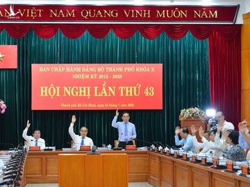 Thành ủy TPHCM bàn đề án thành lập thành phố phía Đông ảnh 5