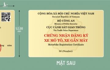 Giấy phép lái xe mới sẽ bằng vật liệu nhựa, có in mã QR và có nền màu vàng. Đồ hoạ: Việt Chung