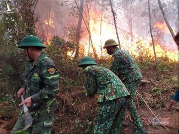 Hàng trăm người căng mình chữa cháy rừng ở Nghệ An