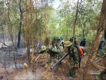 Hàng trăm người căng mình chữa cháy rừng ở Nghệ An