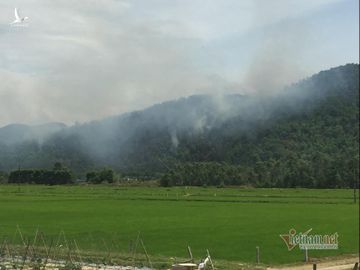 Hàng trăm người căng mình chữa cháy rừng ở Nghệ An