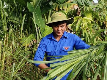 Kết con 'dễ thương', dưỡng con 'lầm lừ', thu hàng trăm triệu đồng/năm