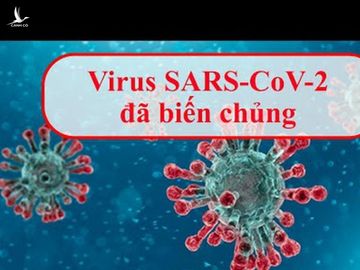 Biến chủng của virus Sars-Cov-2 ở Đà Nẵng có bất thường không?