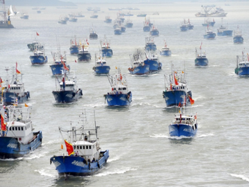 Vét sạch mực ở biển Nam Mỹ, Bắc Kinh áp đặt luôn lệnh cấm đánh bắt - Ảnh 1. Vét sạch mực ở biển Nam Mỹ, Bắc Kinh áp đặt luôn lệnh cấm đánh bắt - Ảnh 1.